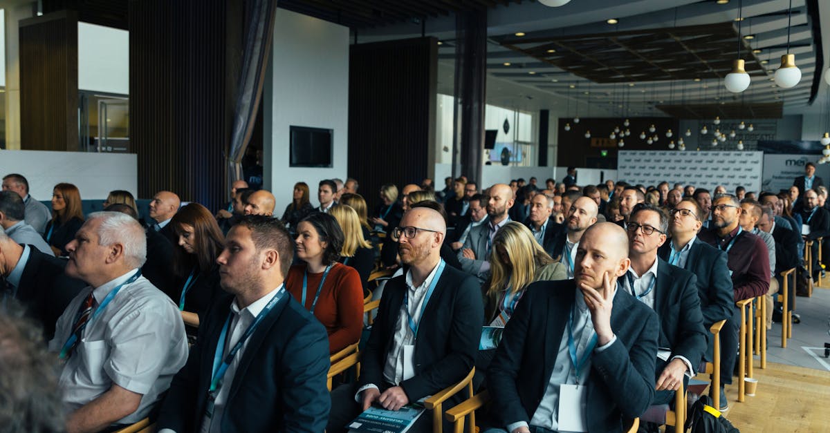 Mond梦都蓝莓：济宁代驾平台代理