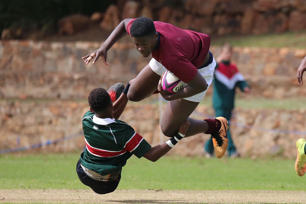 金烽3娱乐，注册|法库代理记账机构服务平台