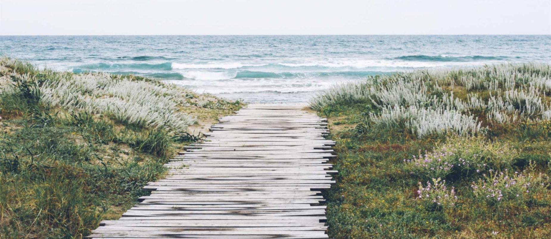 车辆违章代理交费平台