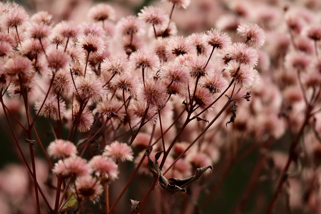免实名注册卡- 香港注册银行代理