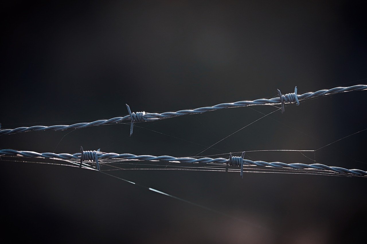 香烟松香和其他危害物质