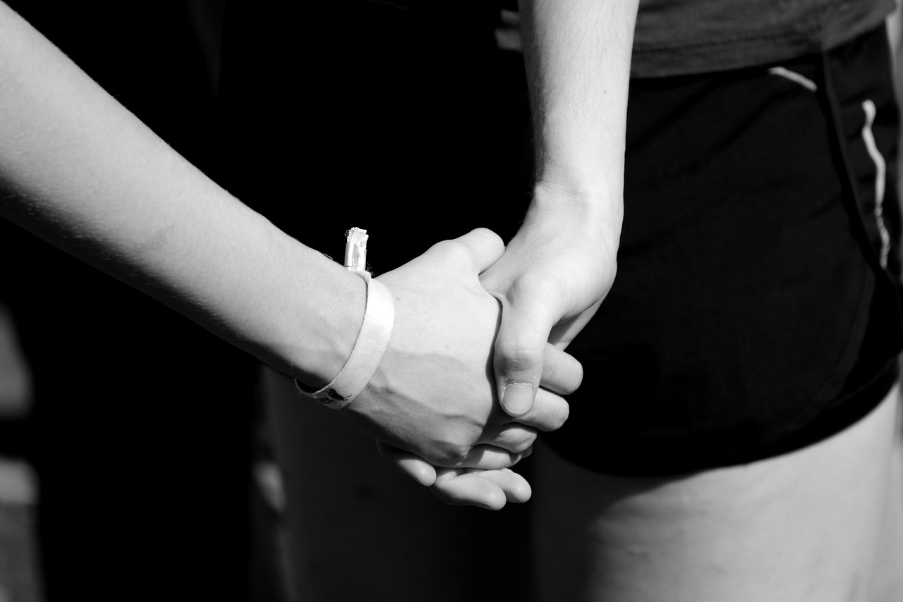 51彩云帆app官方详情下载教程安卓