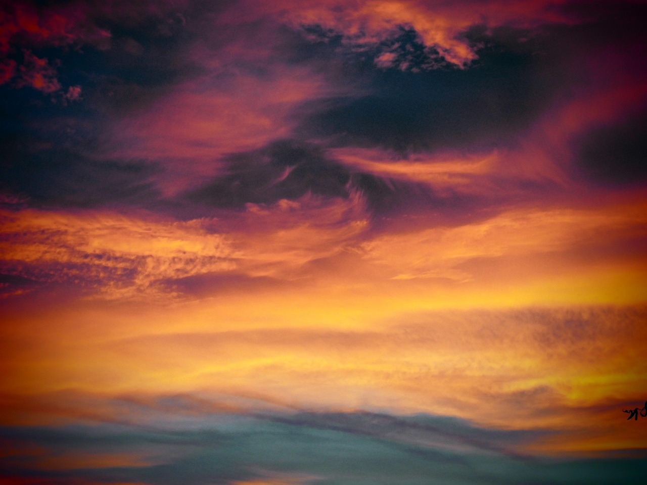 ice蓝冰爆珠：安阳注册公司代理记账服务