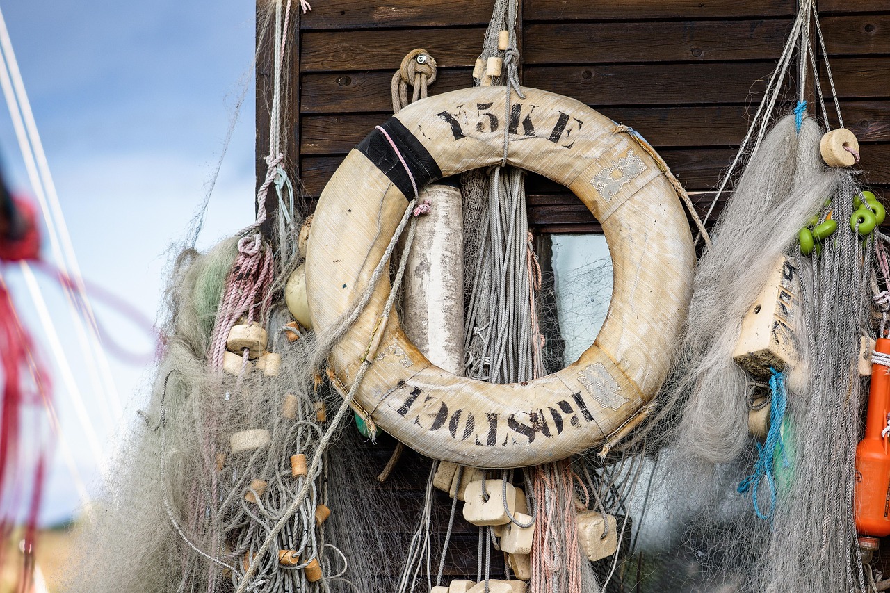 天之禁2辅助- 青年路注册代理